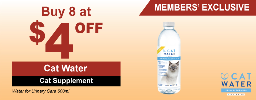 Cat Water Cat Supp Promo